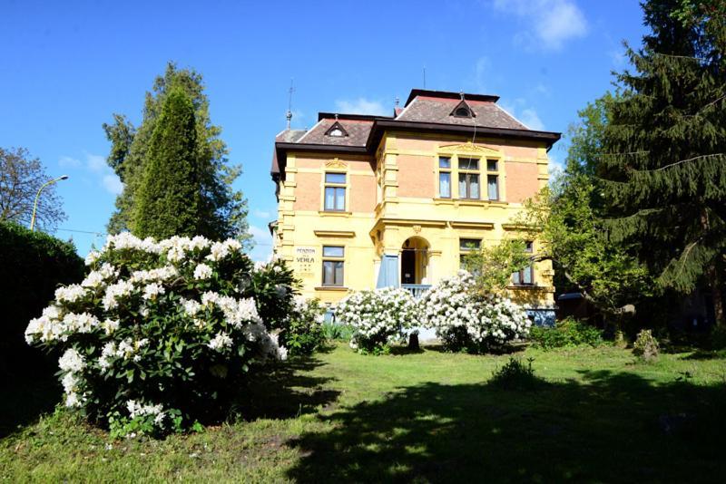 Отель Vila Jehla Ческа-Каменице Экстерьер фото